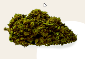 Fleur CBD skywalker kush saveur cbd hemeka